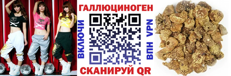 как найти закладки  Отрадное  Псилоцибиновые грибы MAGIC MUSHROOMS 