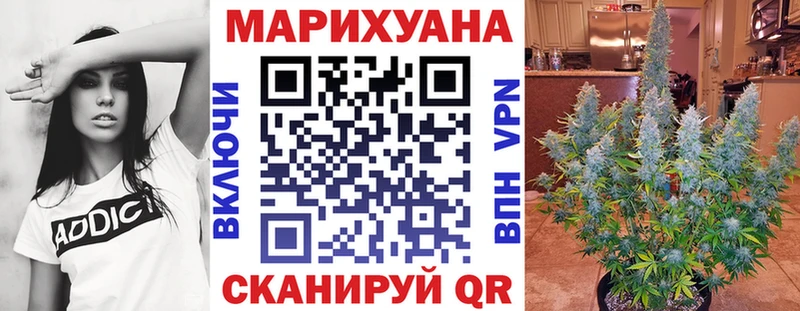 закладка  Отрадное  Марихуана план 
